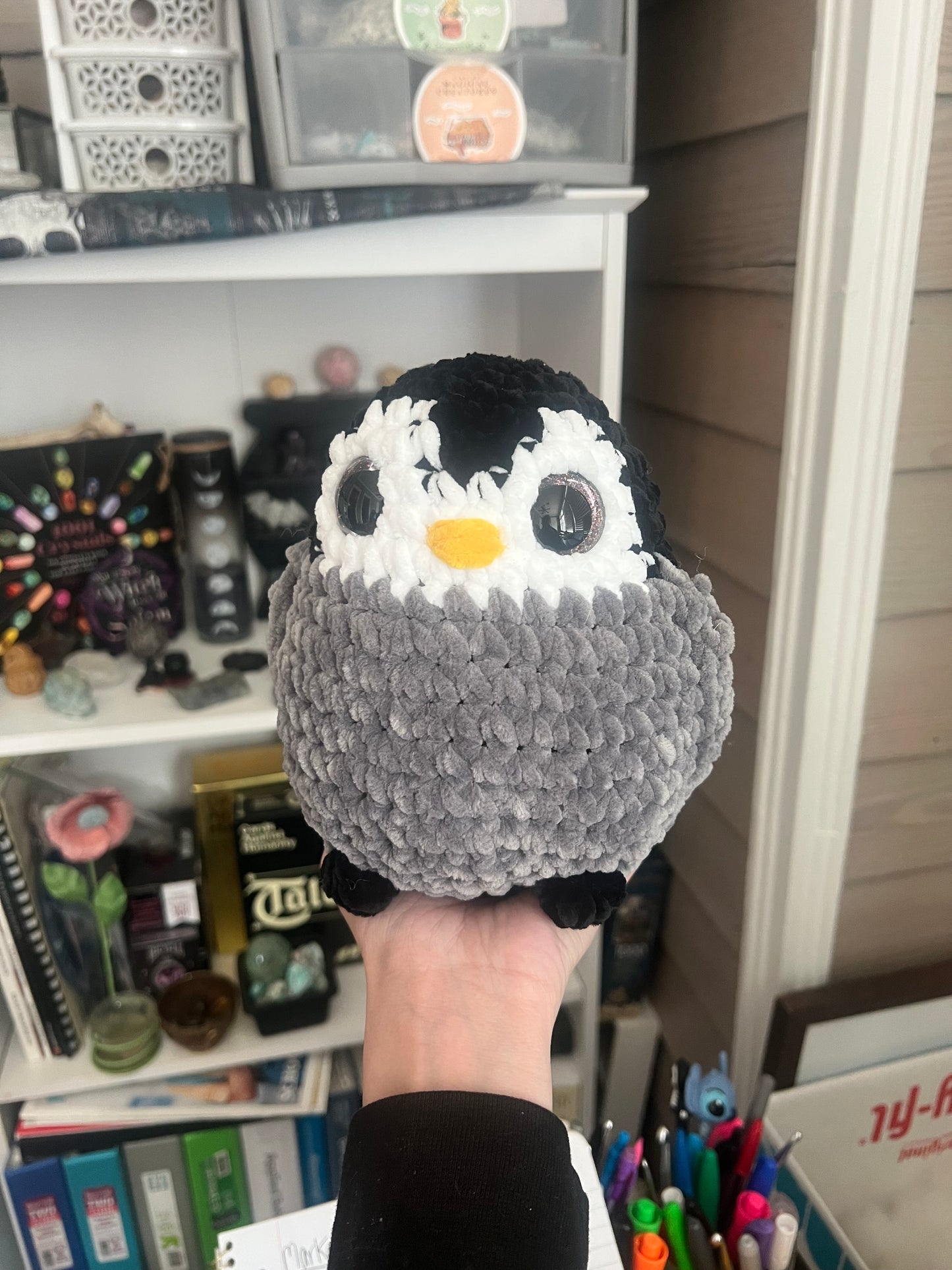Penguin Chick