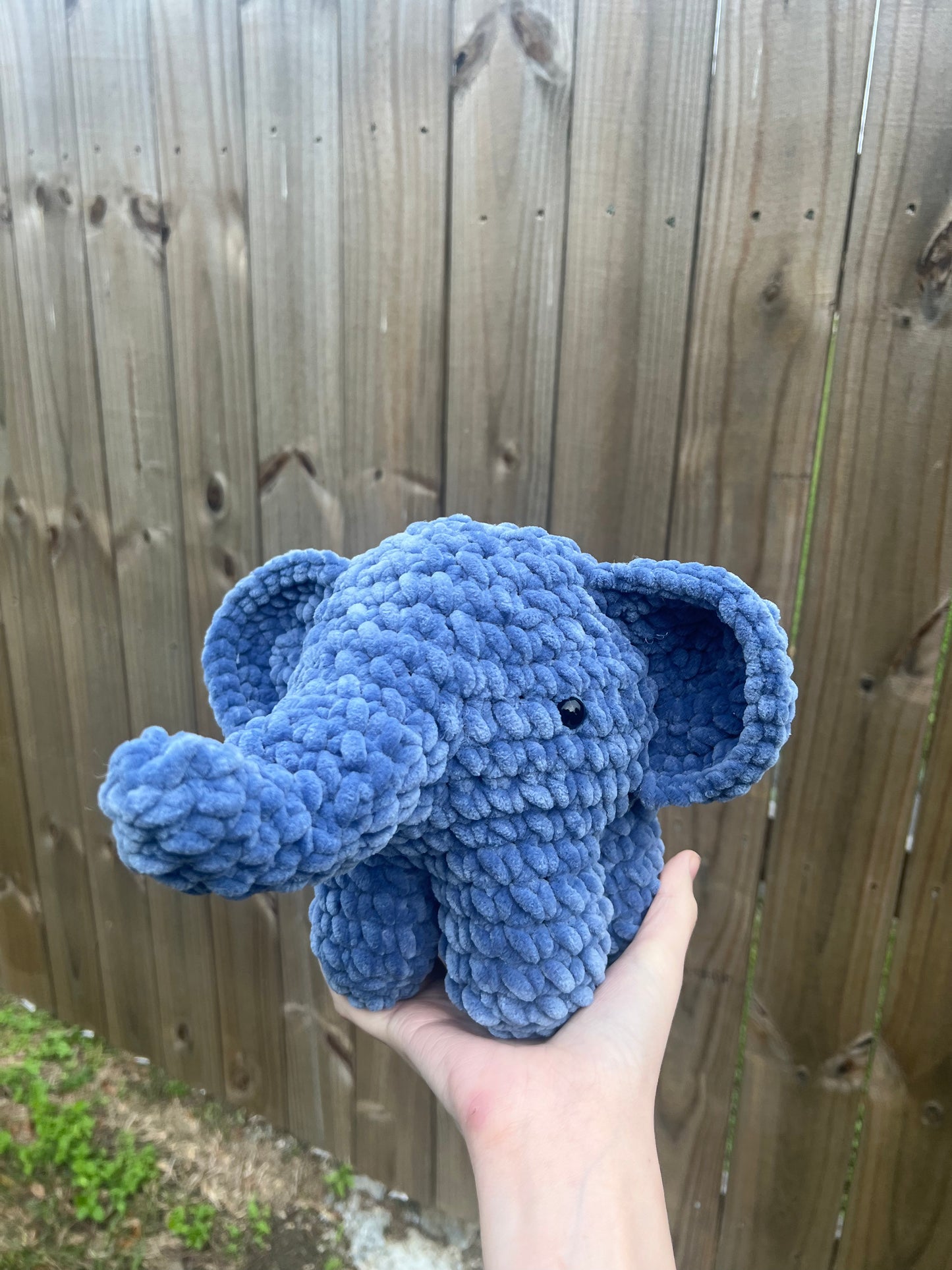 Ellie the Elephant