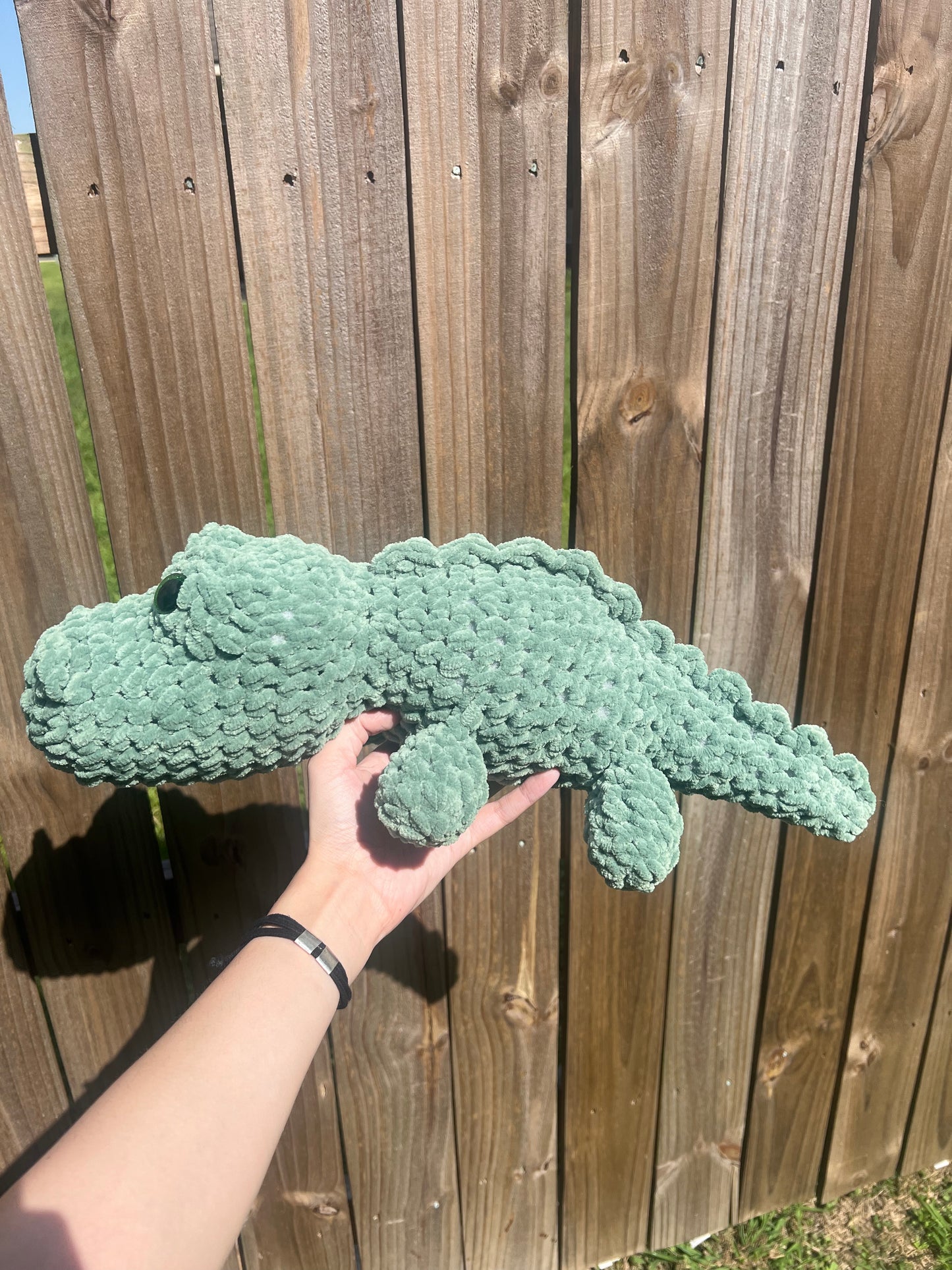 Alan the Alligator