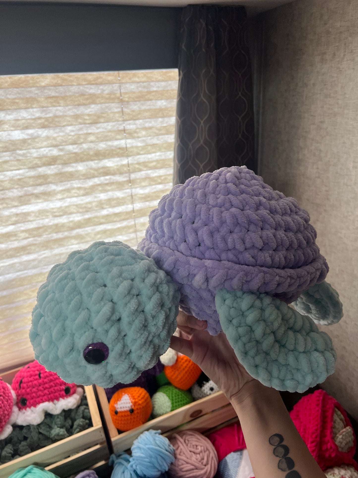 Plush Turtles