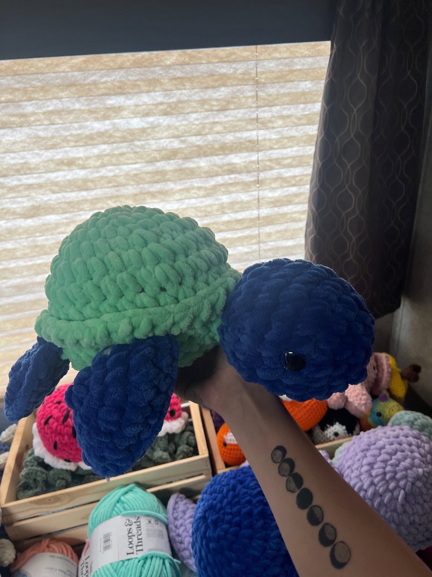 Plush Turtles