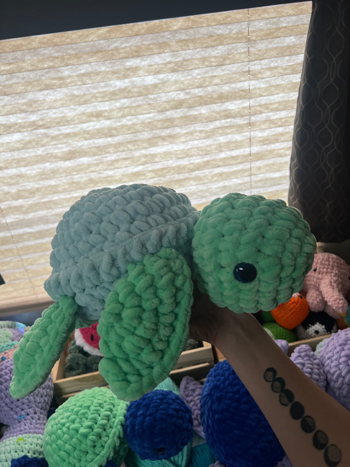 Plush Turtles