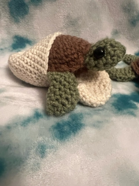 Sea Turtle Baby