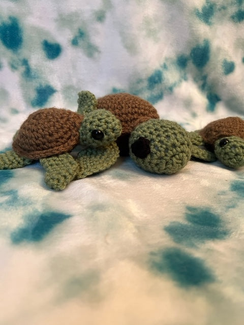 Sea Turtle Baby